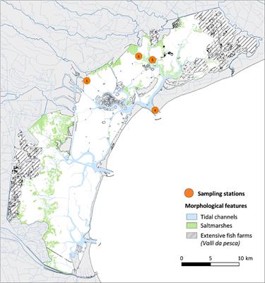 Natural or anthropogenic variability? A long-term pattern of the zooplankton communities in an ever-changing transitional ecosystem